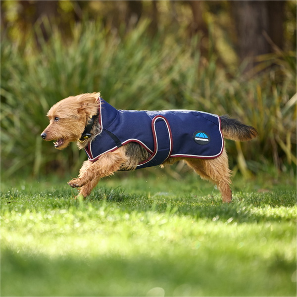 2025 Weatherbeeta Comfitec Premier Deluxe Waterproof Dog Coat 1028800 - Navy